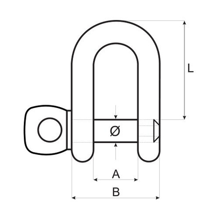 Schäkel Rundschäkel Edelstahl Gerade V4A 13mm