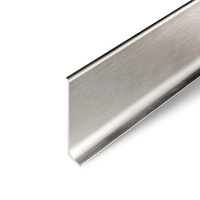 2m Fussleiste aus Aluminium 100mm PLATIN